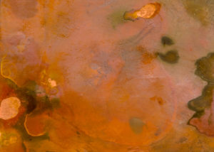 Pond by Erica Bishop